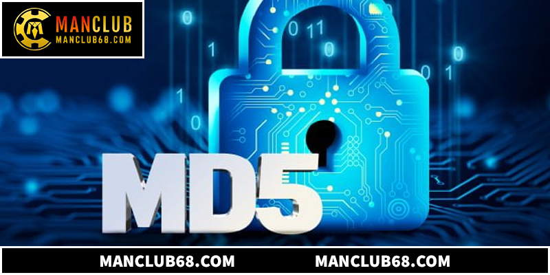 Cơ chế MD5 đảm bảo tính minh bạch tuyệt đối